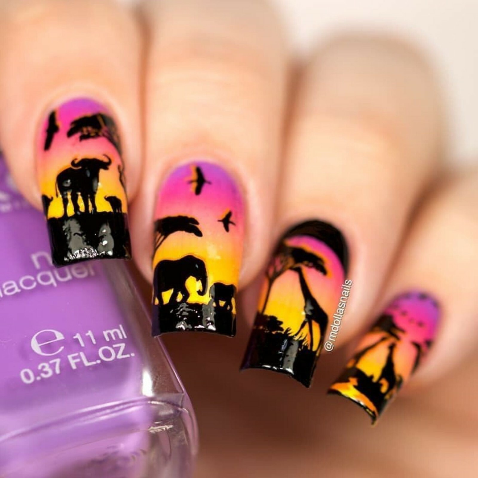B040 Safari Ride Stamping Plate For Stamped Nail Art Design