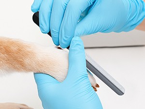 Dog Nail Trimmers for Lar Medium Dogs, Cats, Profal Dog Nail