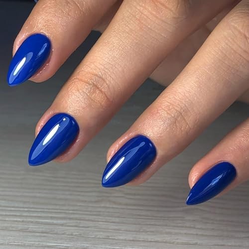 Royal Blue Nails – Winter Reusable – Short Almond Shaped – Short