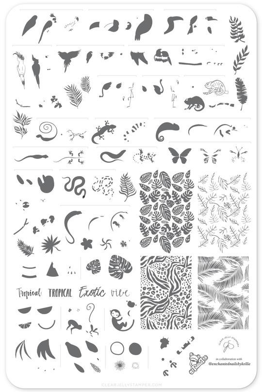 CJS Cjs LC-58 Clear Jelly Stamper Nail Stamp Plate Enchanted Tropics Rainforest