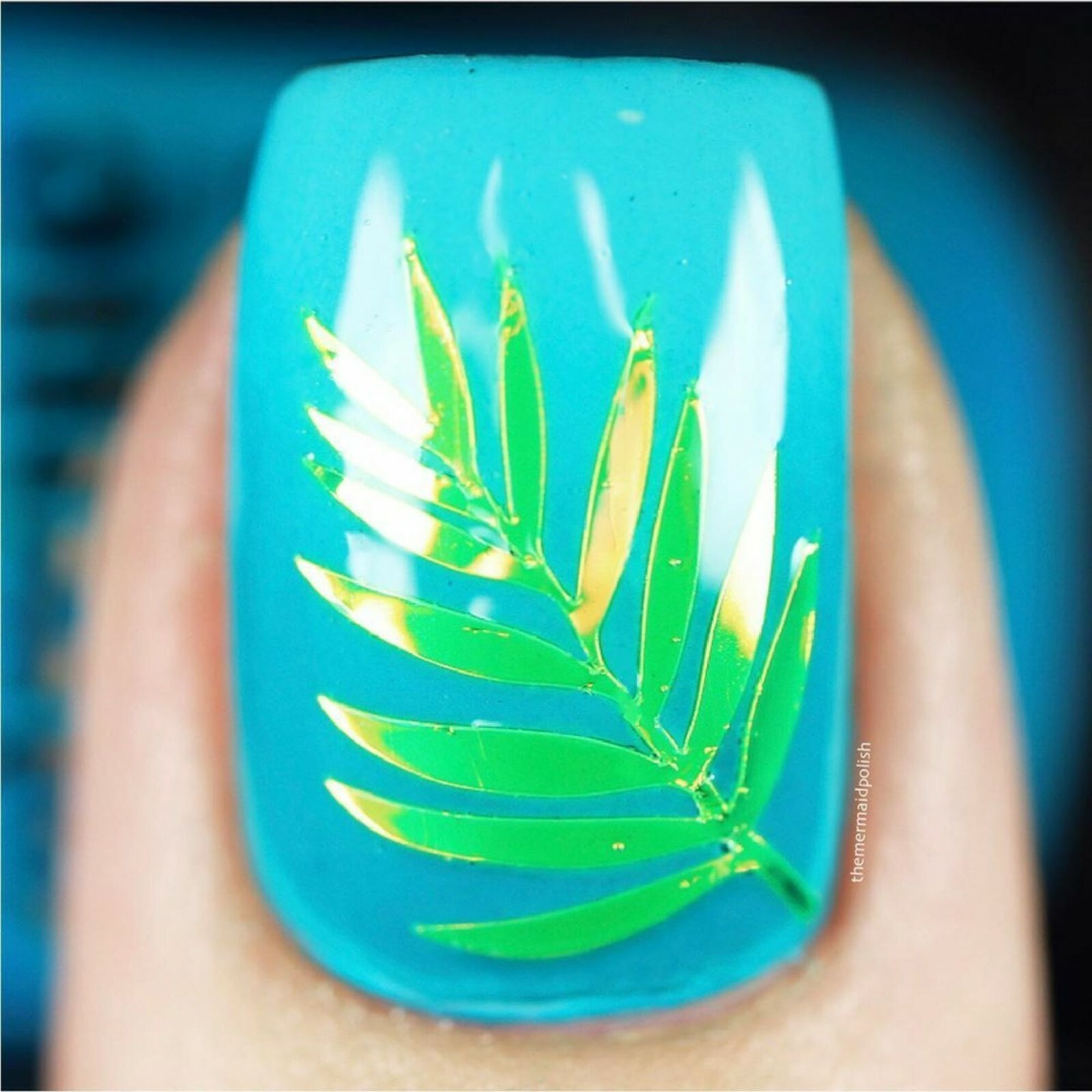 Botanical Garden Stickers (Lime) – Daily Charme Collaboration, Nail Stickers