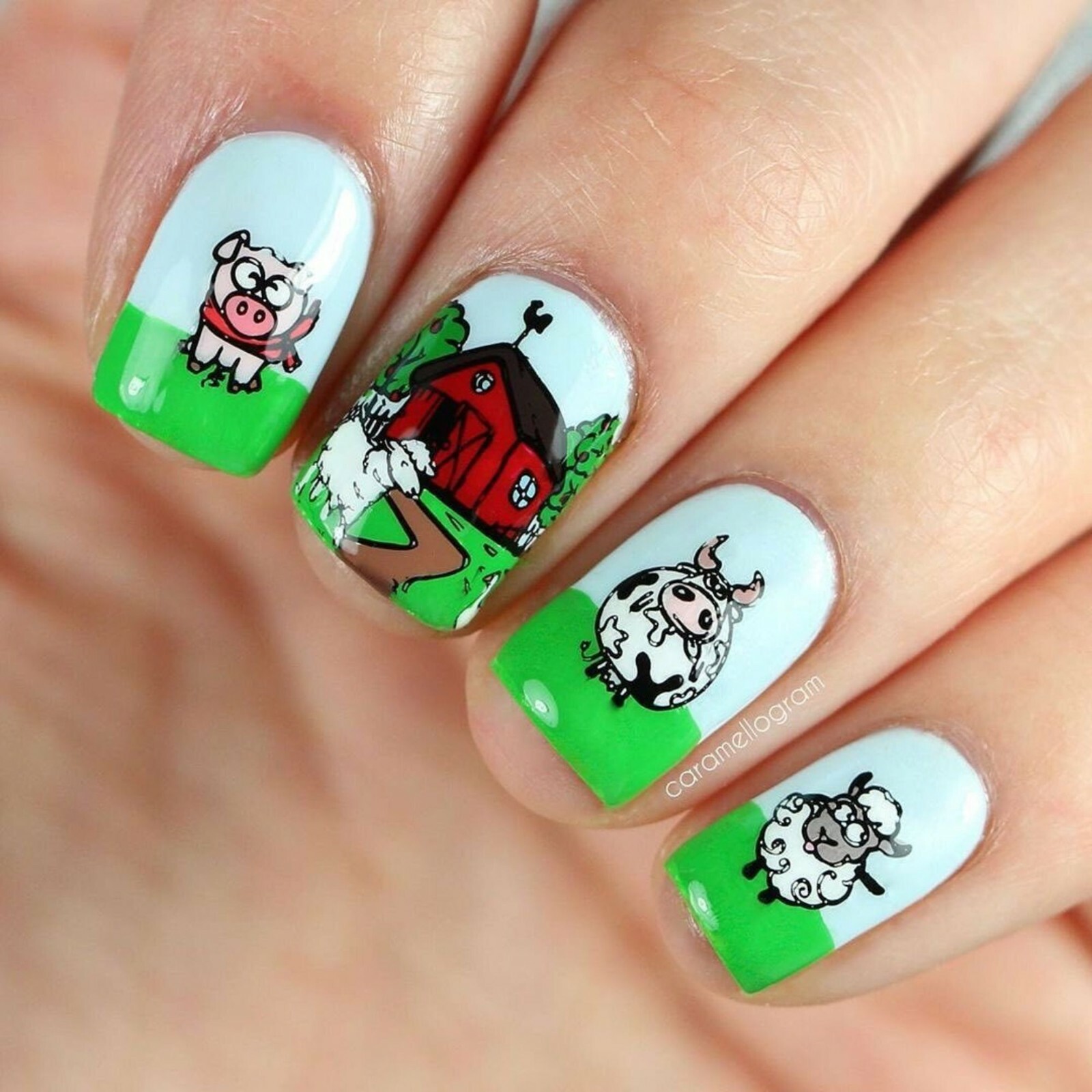 B061 Summer in the Countryside Stamping Plate For Stamped Nail Art Design