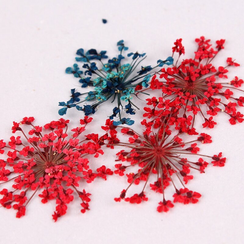 Natural Dry Flower Botanical Nail Art Decorations UV Gel Tips Manicure Accesorie