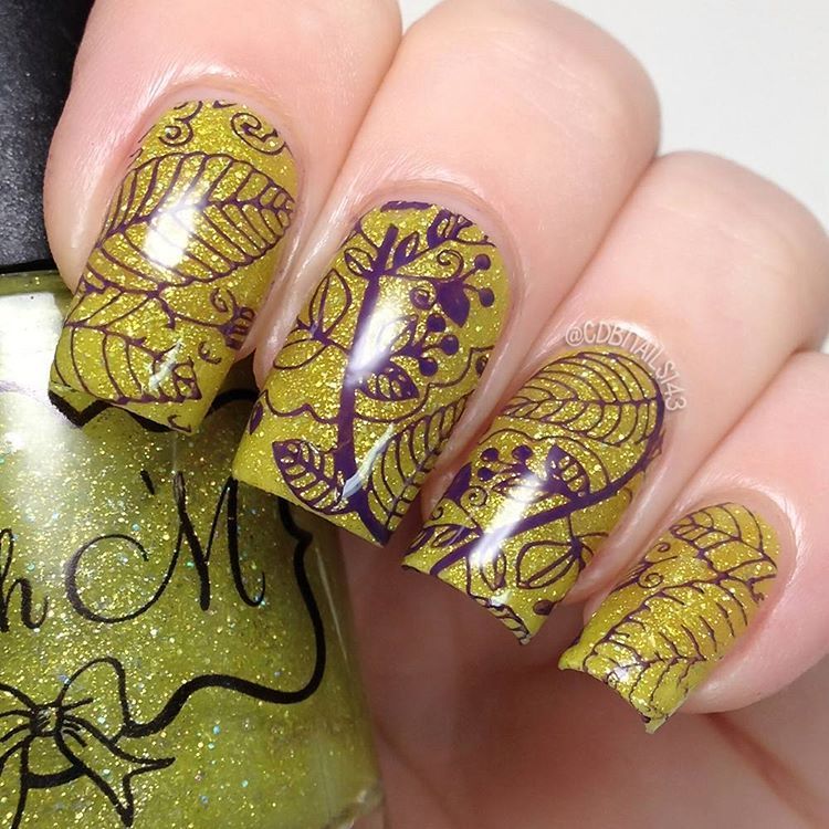 Winstonia Nail Art Stamping Plates Set Stamp Manicure 4TH GEN Template Disc Gel