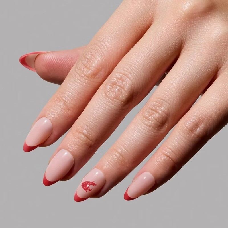 Washington State Cougars Press-On Nails: Gloss, Almond Shape, 30 Pieces