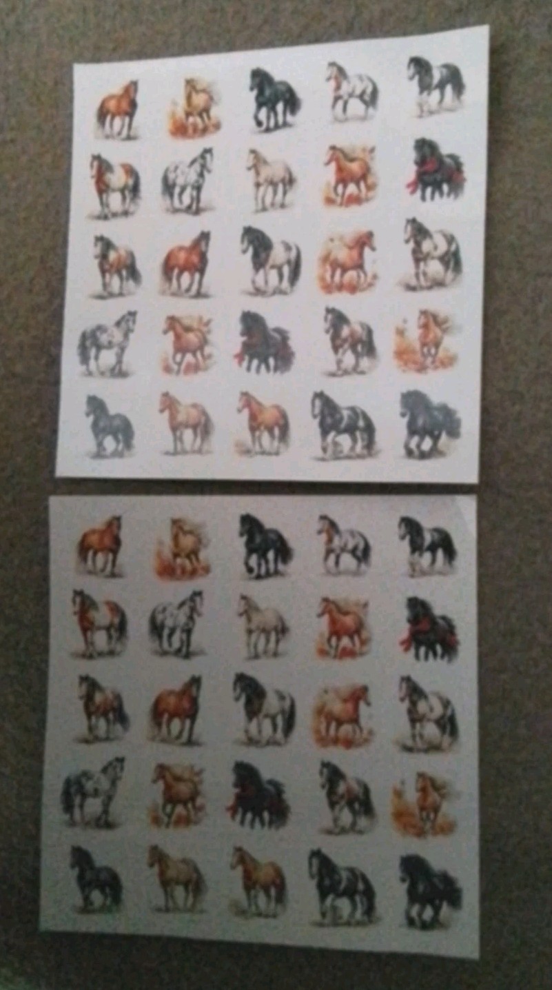 Horses Pretty Nail Art Set Of 50 Colorful- w/ Instructions Easy Waterslide Apply