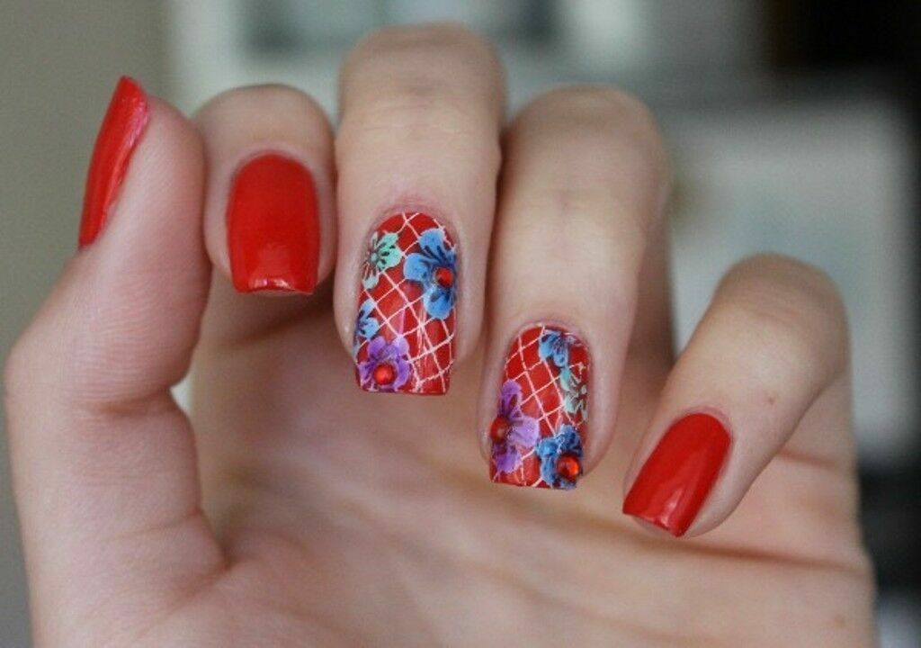 Nail Art Stamping Elegant Lace Manicure Image Plate Stamper Scraper Kit BP44