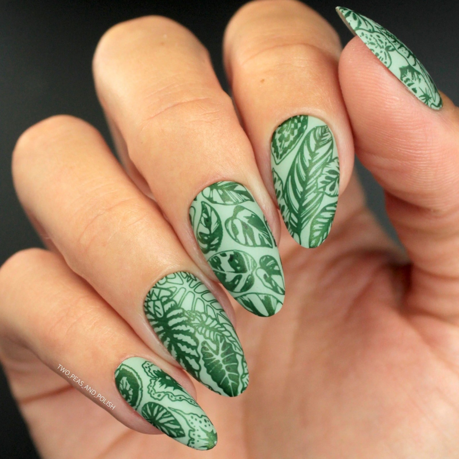 Plant Lover: Lush Living (MXM086) – Nail Stamping Plate