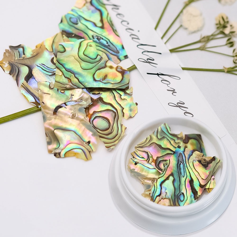 2 Jar DIY Nail Art Sequins Colorful Natural Shell Texture Abalone Slice Manicure