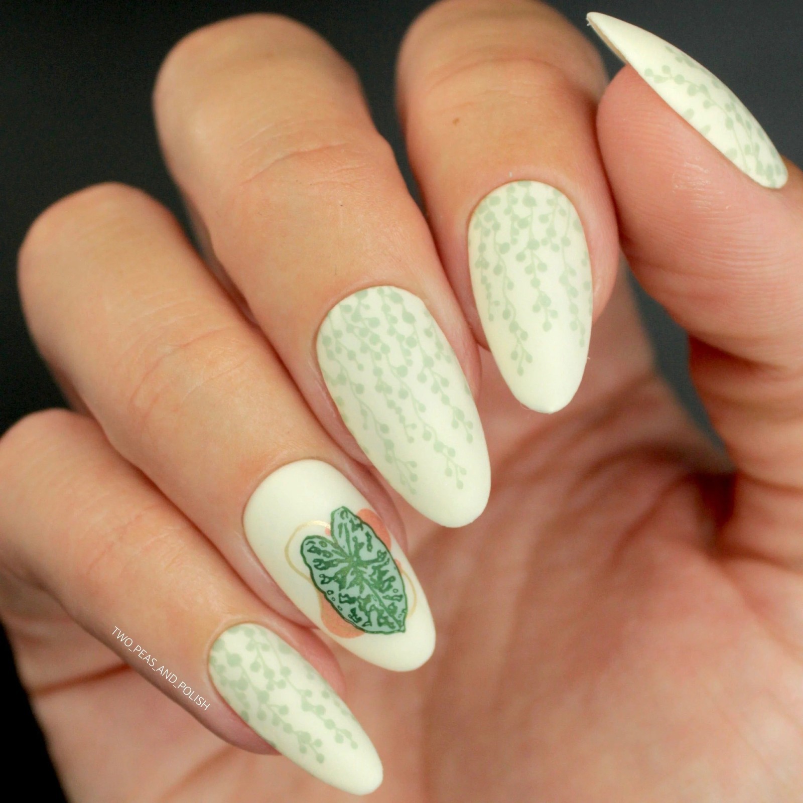 Plant Lover: Urban Jungle (MXM085) – Nail Stamping Plate