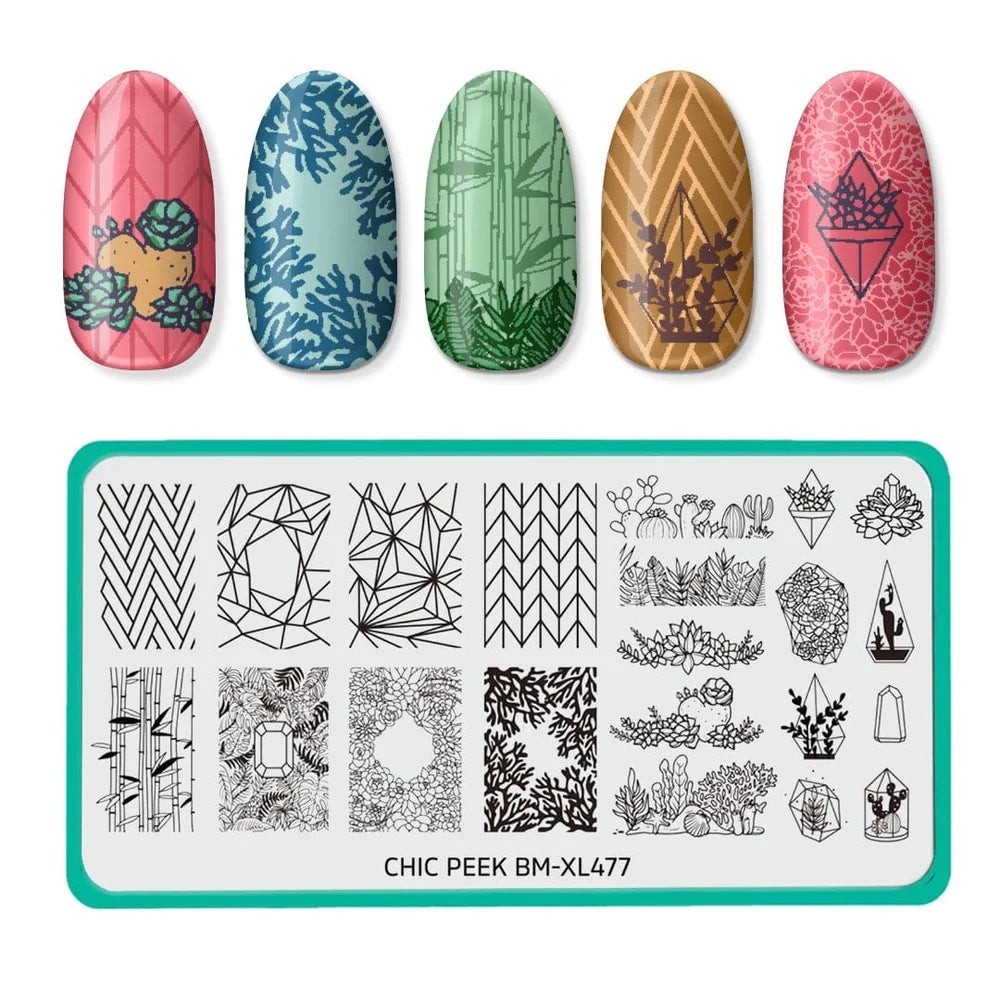 Maniology Bundle Monster BM-XL477 Chic Peek Geomentric Floral Nail Stamp Plate