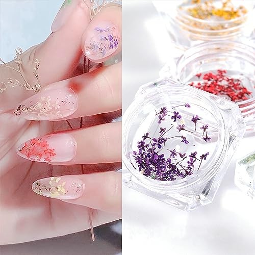 8 Boxes Dried Flowers for Nails Mini Real Nail Flowers 3D Dried Flowers Nail