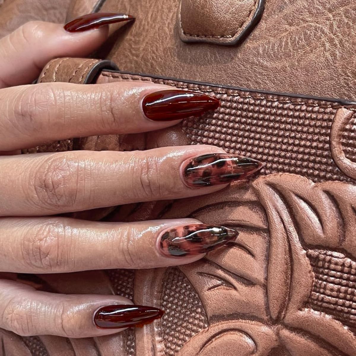 Secret Lives Glossy Dark Brown Color with Translucent Leopard Print 24 Set