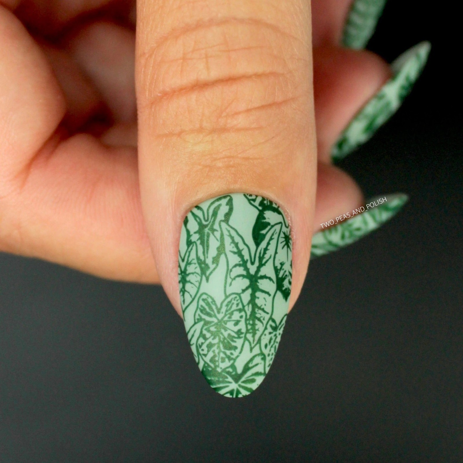 Plant Lover: Lush Living (MXM086) – Nail Stamping Plate