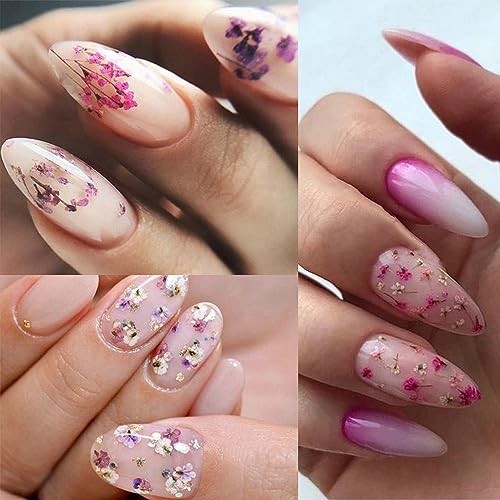 8 Boxes Dried Flowers for Nails Mini Real Nail Flowers 3D Dried Flowers Nail