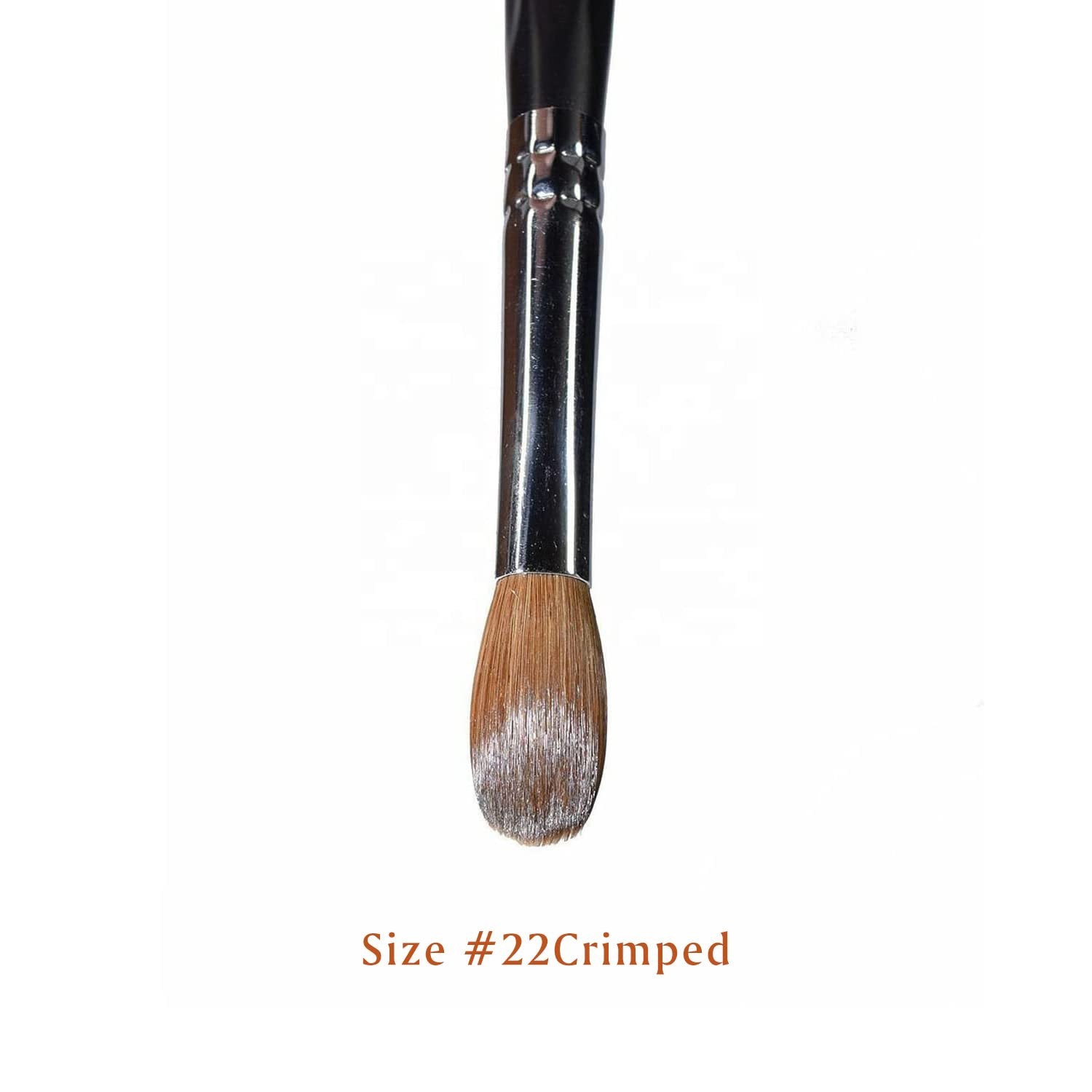 Professional Kolinsky Acrylic Nail Brush Size 22..