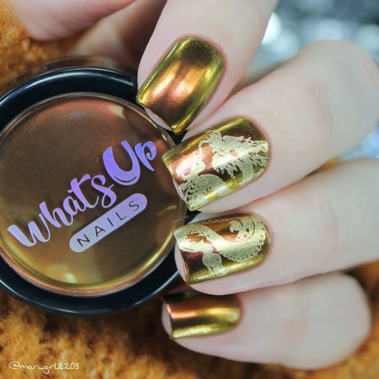 B051 I Just Want Sushi Stamping Plate For Stamped Nail Art Design