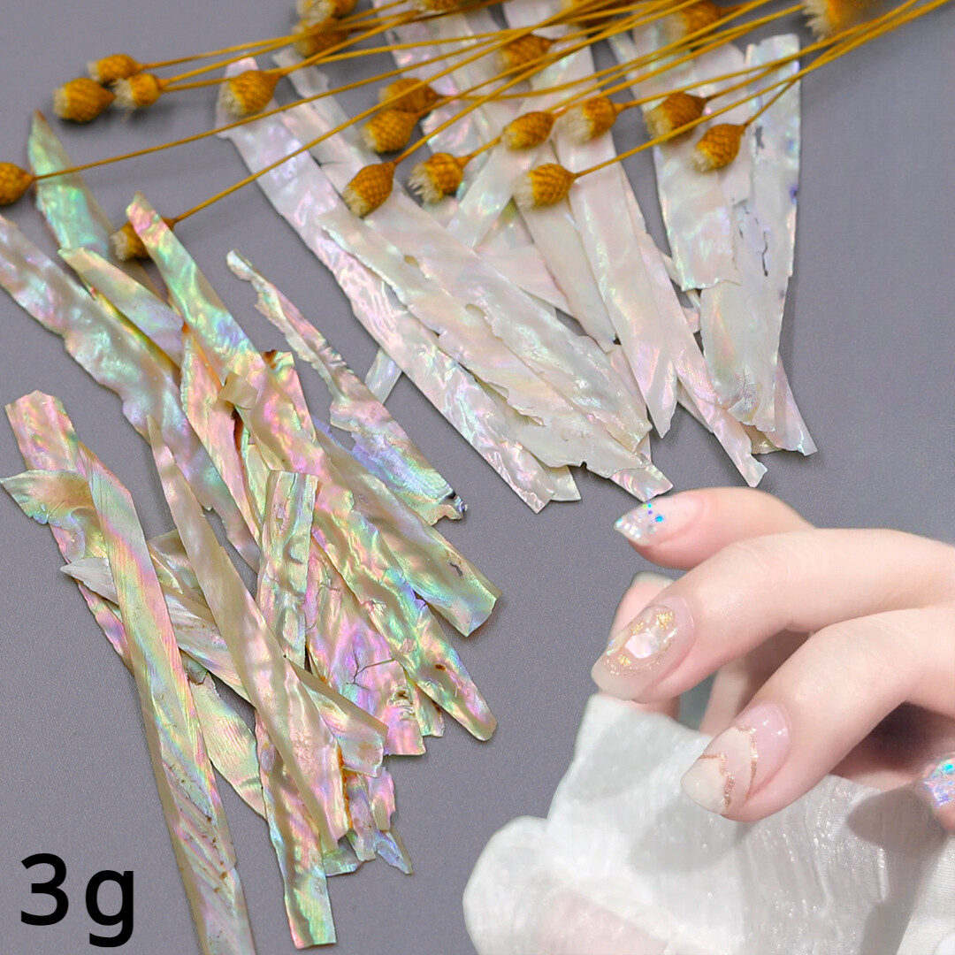 3g DIY Abalone Shell Slices Long Strips Shell Flakes Thin Iridescent Nail Decors