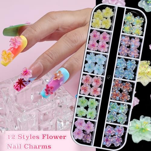 6 Boxes 3D Flower Nail Charms, Colorful Hibiscus Nails Ice Translucent Flower
