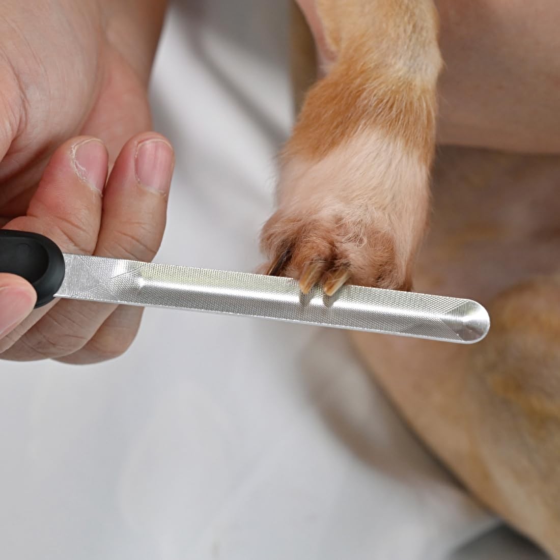 Green Bell Pet Curve Claw File PE-003