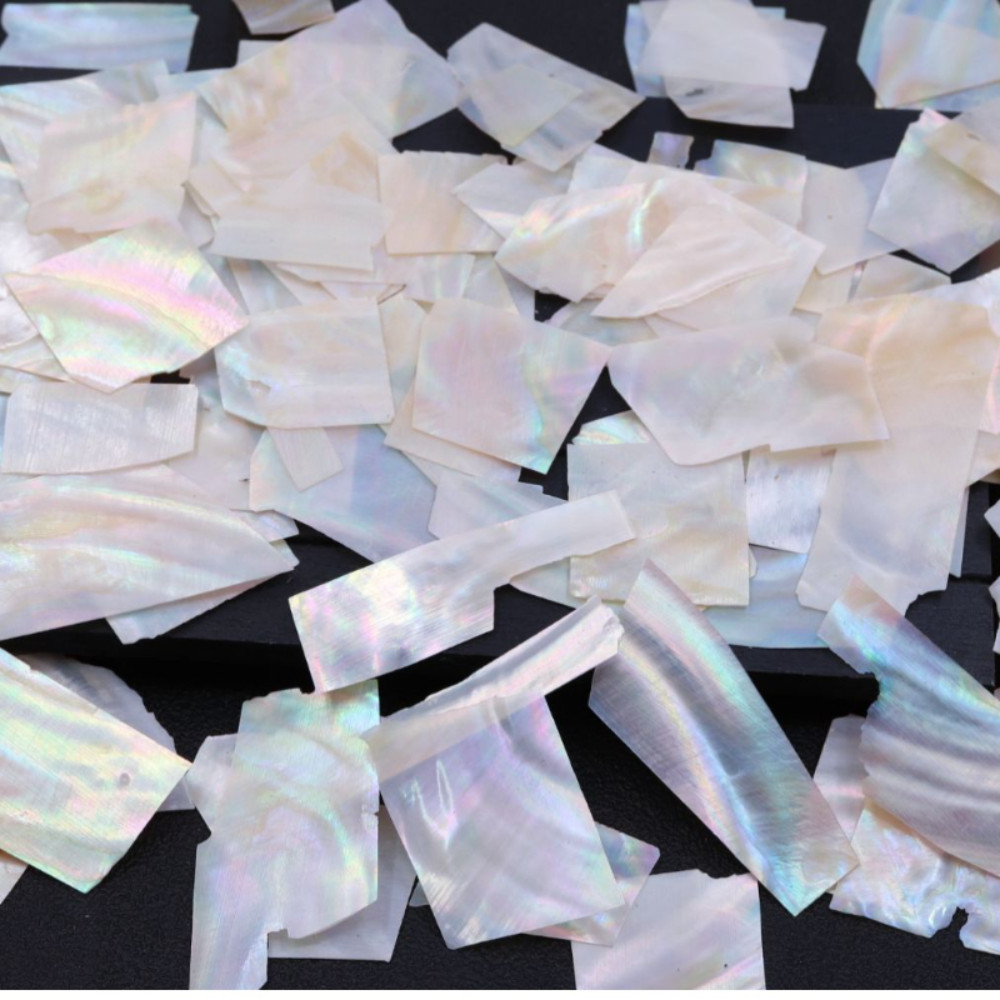 10g Abalone Shell Flakes Irregular Shell Slices for Nail Art Supplies DIY