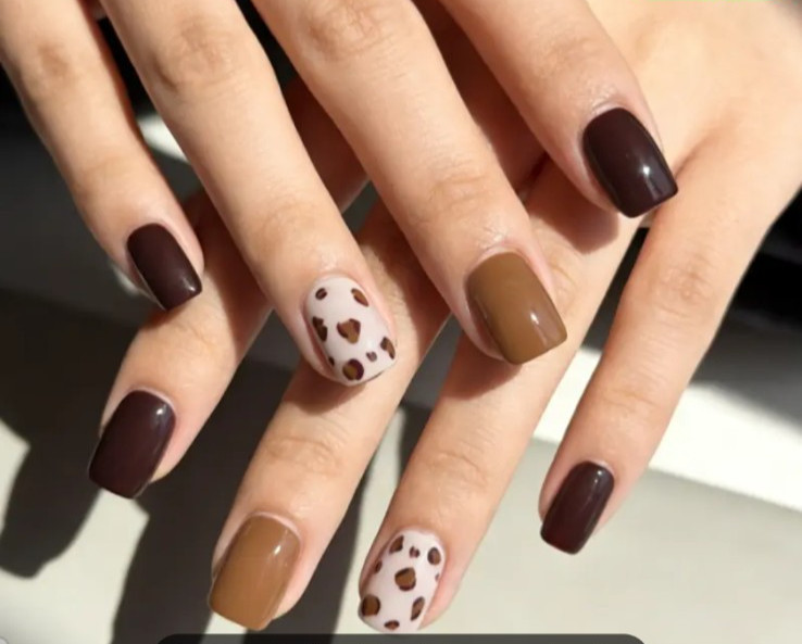 24 Pieces Press-On Nails – SHORT Square Glossy -Browns w/Leopard Spots
