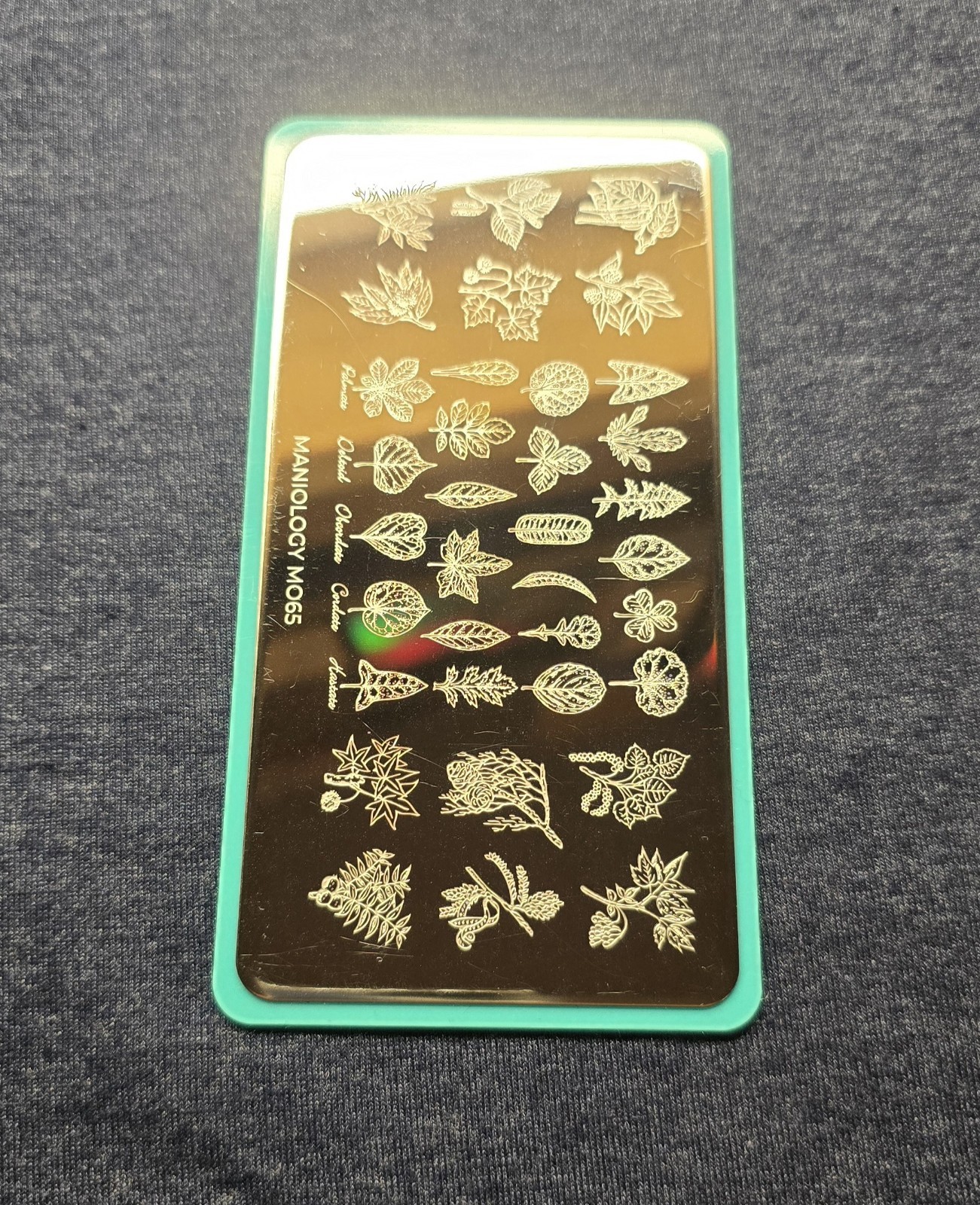 Maniology M065 Botanical Horticulture Leaf Plant Tree Flower Nail Stamp Plate