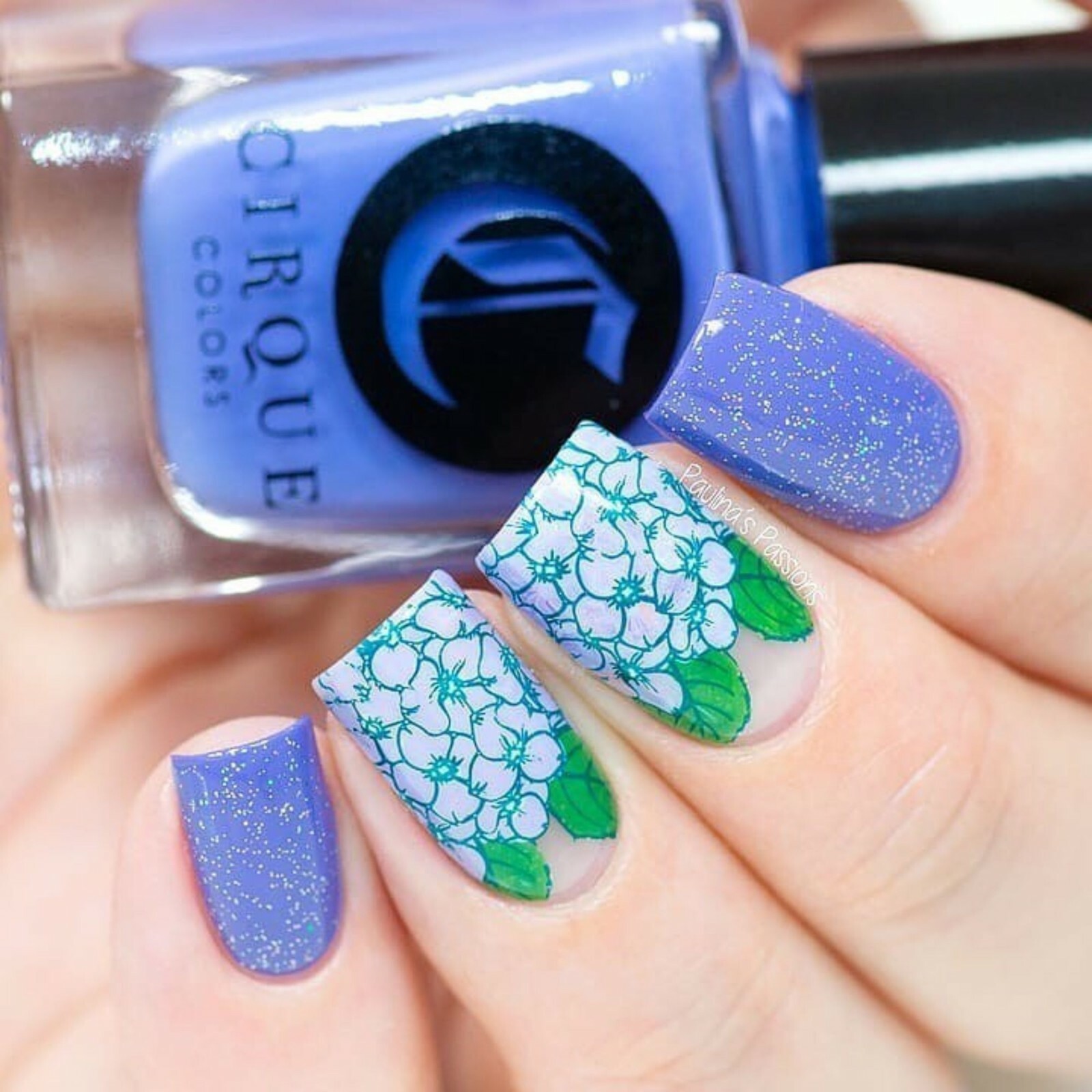 B044 From Ground Comes Life Stamping Plate For Stamped Nail Art Design