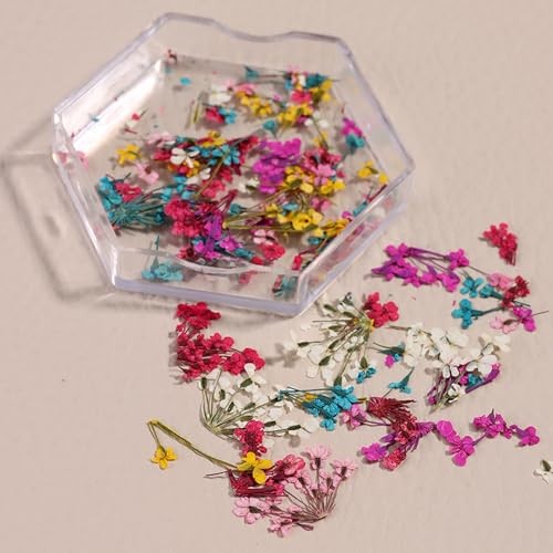 4 Boxes 3D Nail Art Stickers Natural Dry Flowers Nail Stickers Dried Flowers