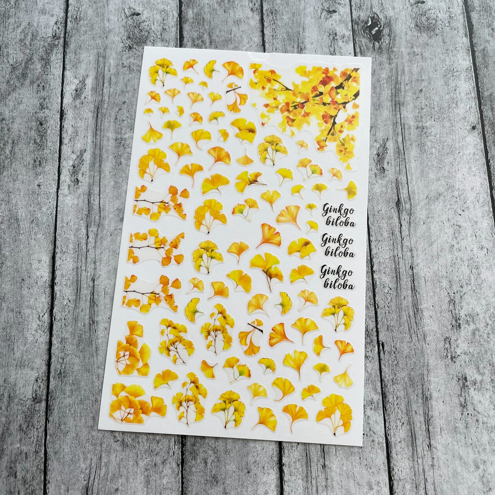 Maple Autumn Leaves Nail Sticker Hello Autumn Fall Leaf Lines Geometric Frame