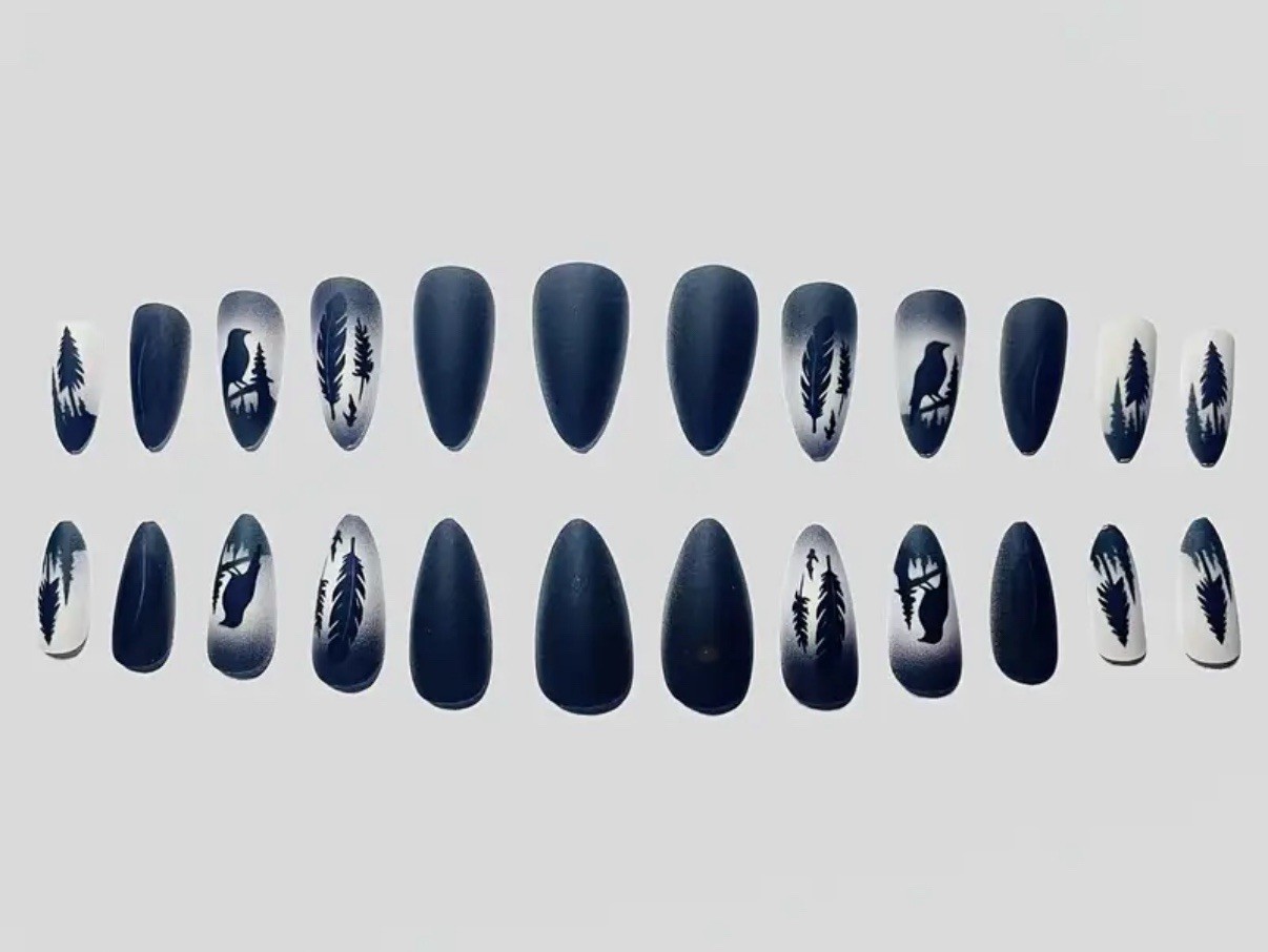 Raven 24 Pc Black Bird Night Nail Tips Boxed Glue & Tabs Nails Gothic Halloween