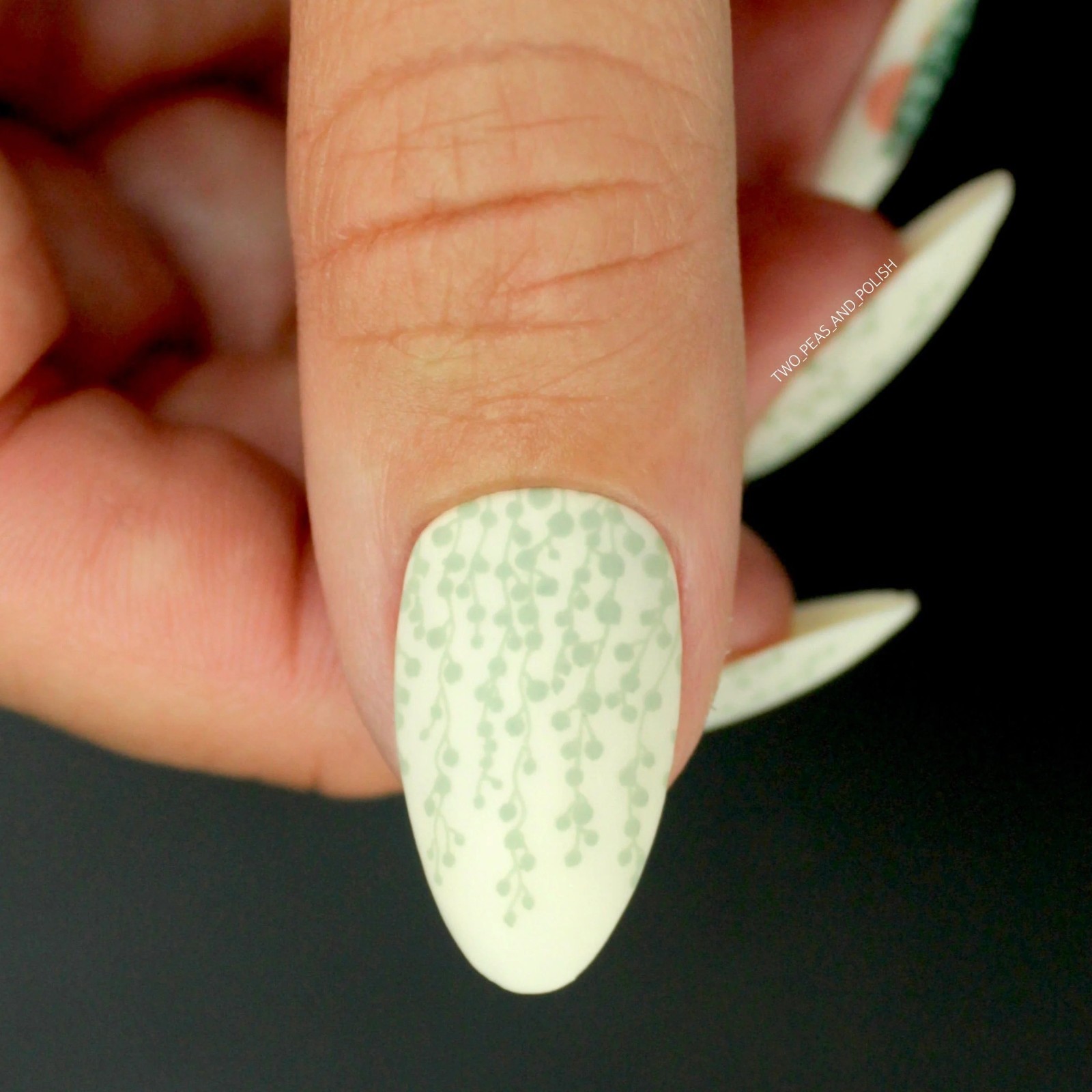 Plant Lover: Urban Jungle (MXM085) – Nail Stamping Plate