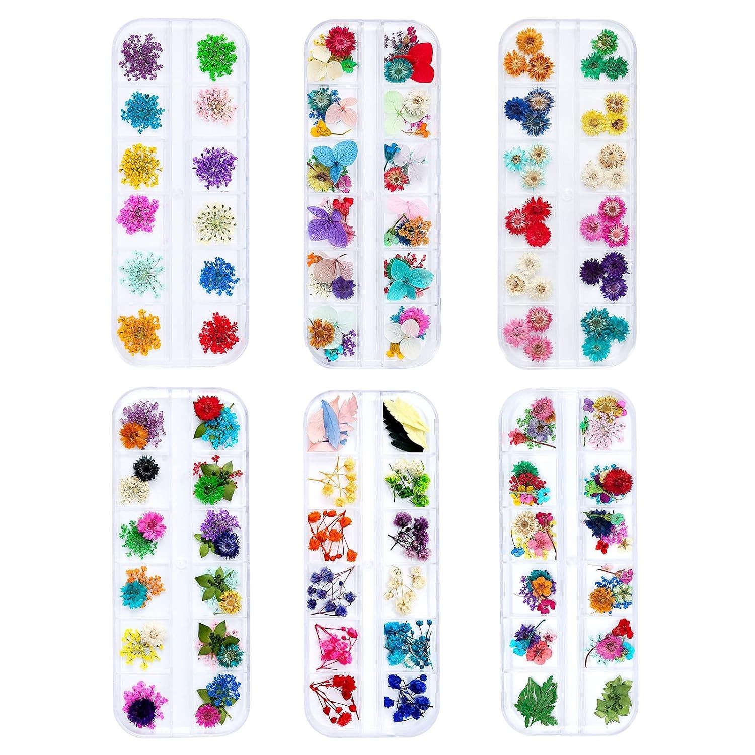 Dried Flowers for Resin Craft Nail Art Mix Small Mini Dry Flowers Pack of 6 B…