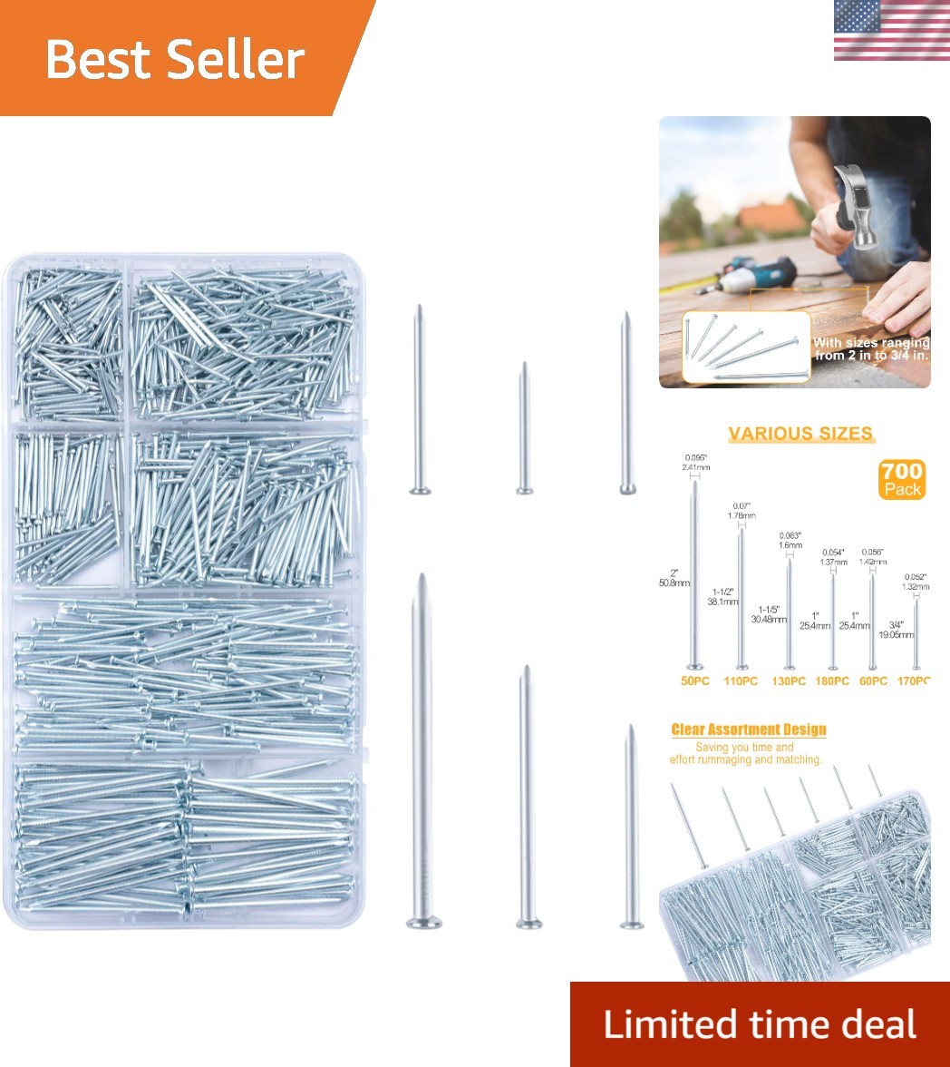 700pcs Picture Hanging Nails Set – Galvanized Steel for Art Displays
