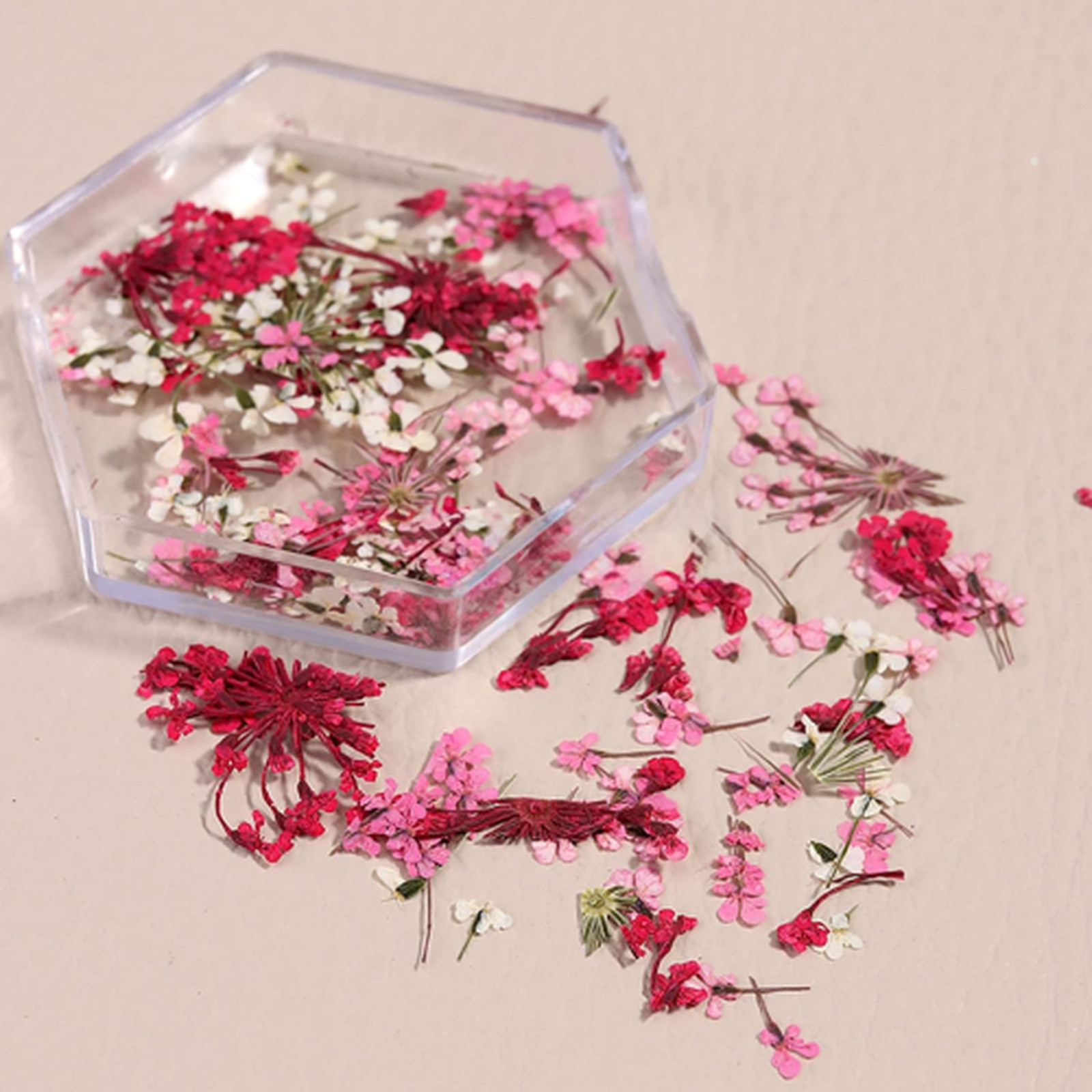 Dried Flowers Nail Art Stickers Set 4 Boxes Natural Tiny Floral Petals Colorful