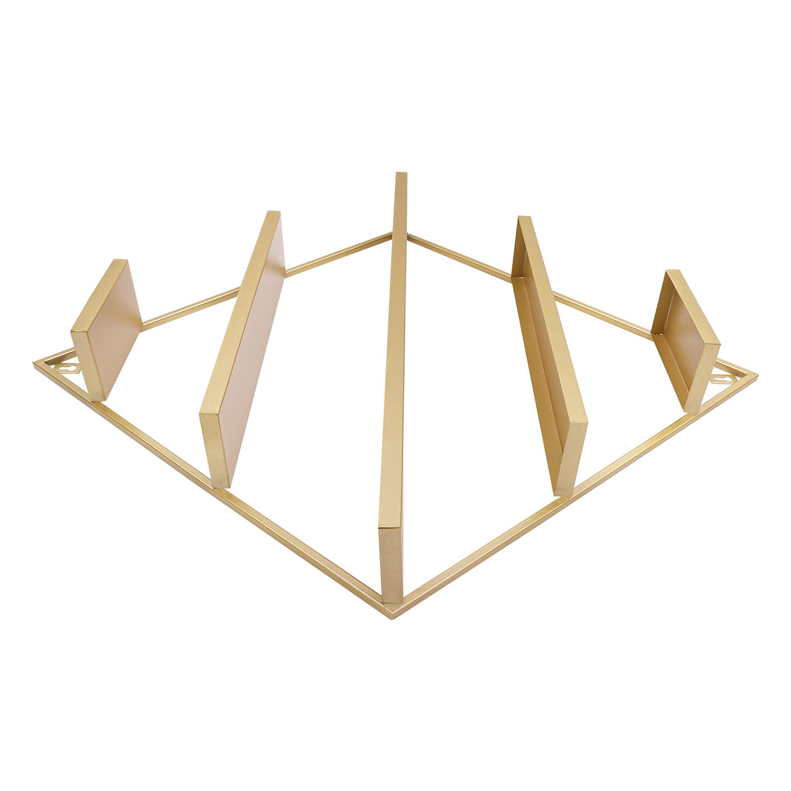 Gold Nail Polish Wall Organizer Holder Display, Nail Polish Wall Shelves Iron