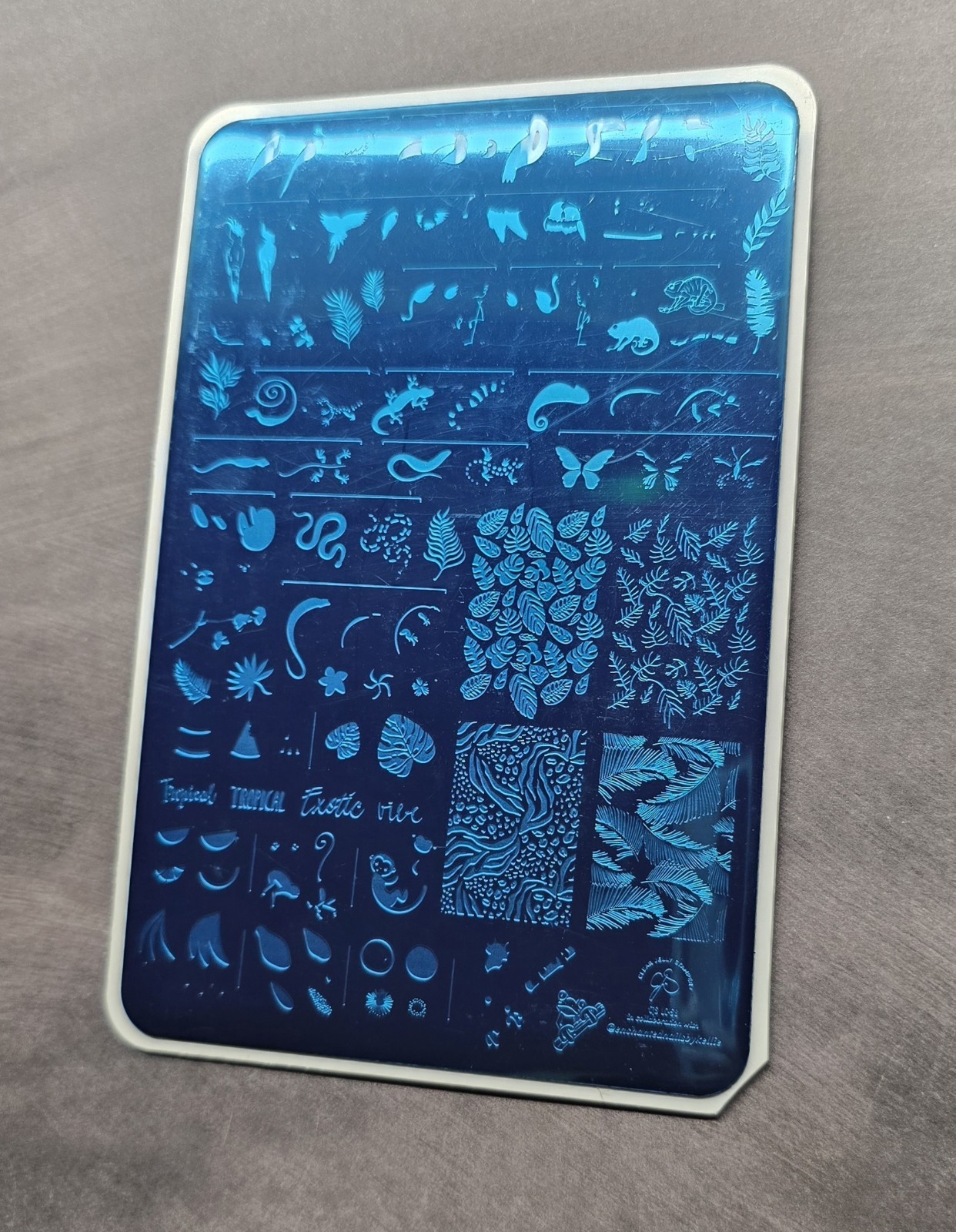 CJS Cjs LC-58 Clear Jelly Stamper Nail Stamp Plate Enchanted Tropics Rainforest