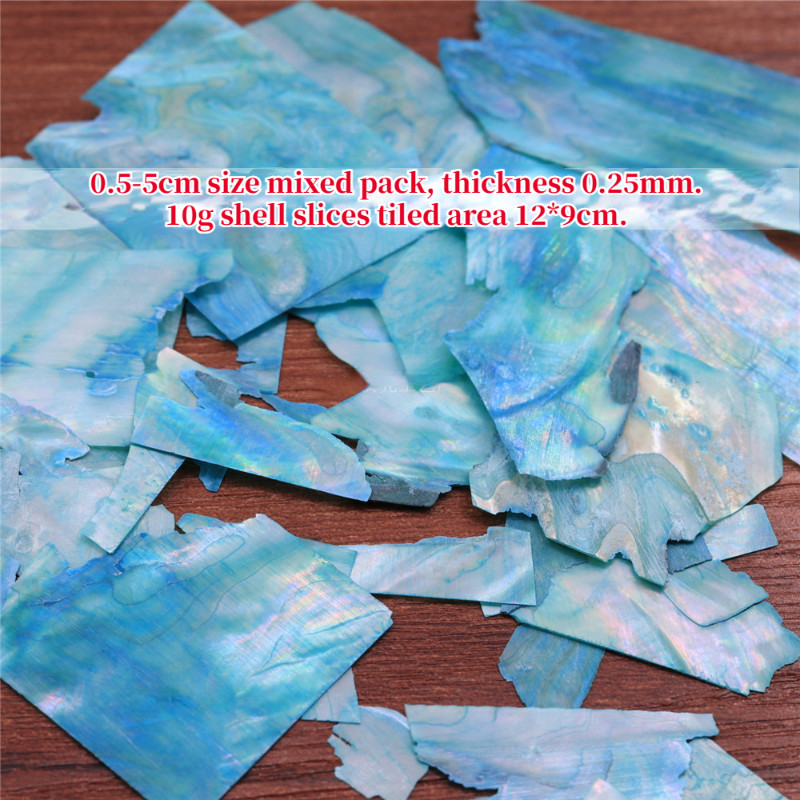 10g Abalone Shell Flakes Irregular Shell Slices for Nail Art Supplies DIY