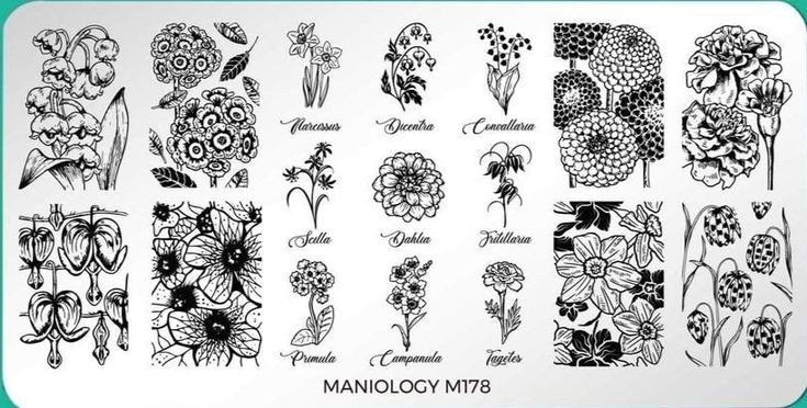 HTF Maniology M178 Floral Grow With Love Flowers Garden Florist Nail Stamp Plate