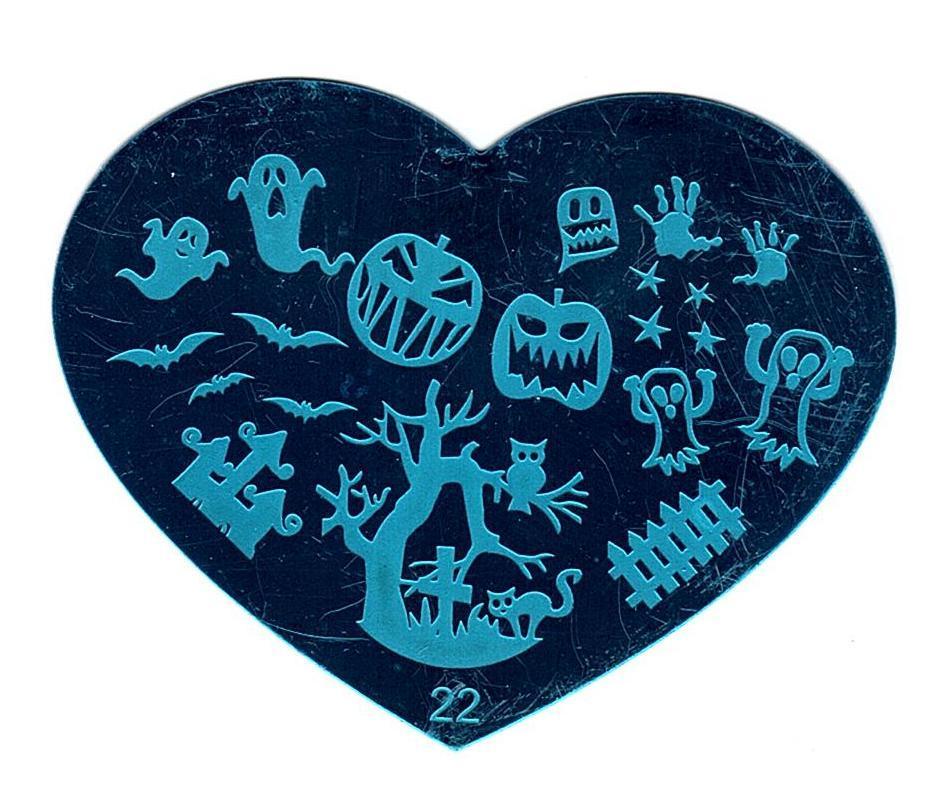 5 Pcs Love Heart Nail Art Stamping Manicure Image Plates Stamper Scraper Set NEW