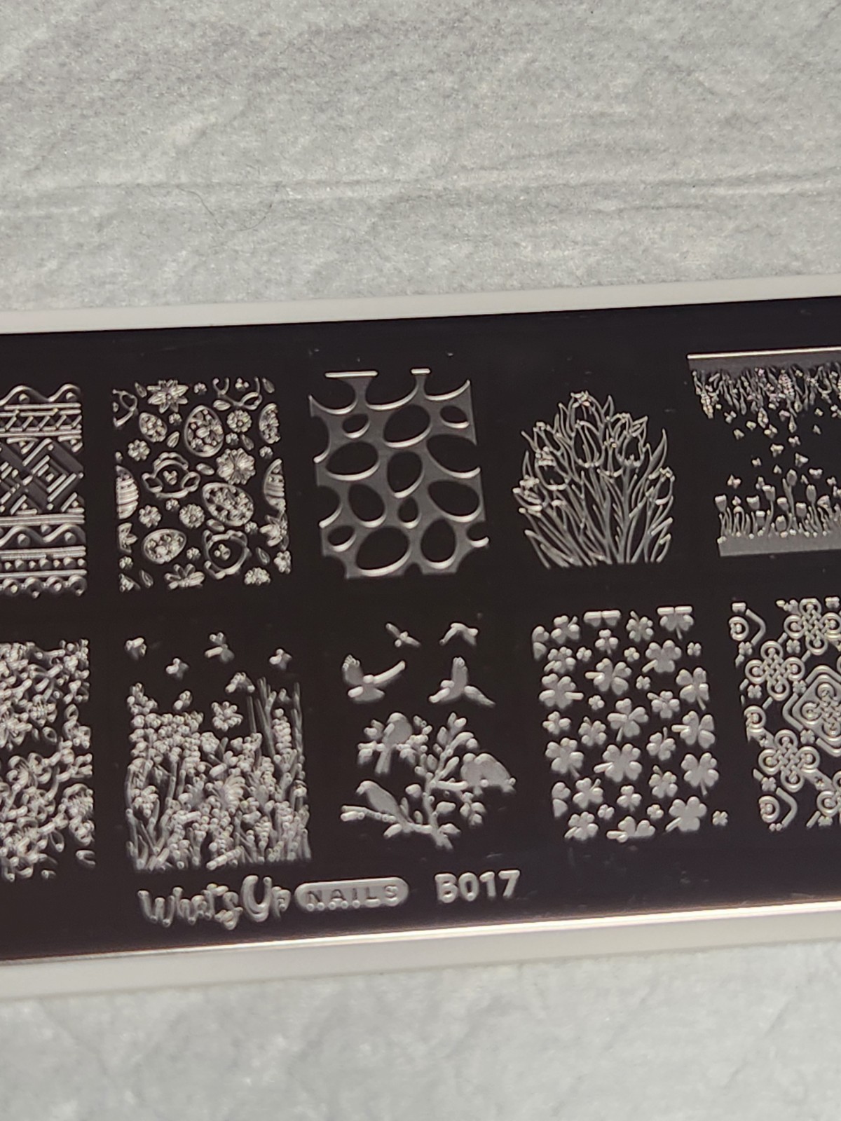 What’s Up Nail Stamping Plate B017 – Spring Elation
