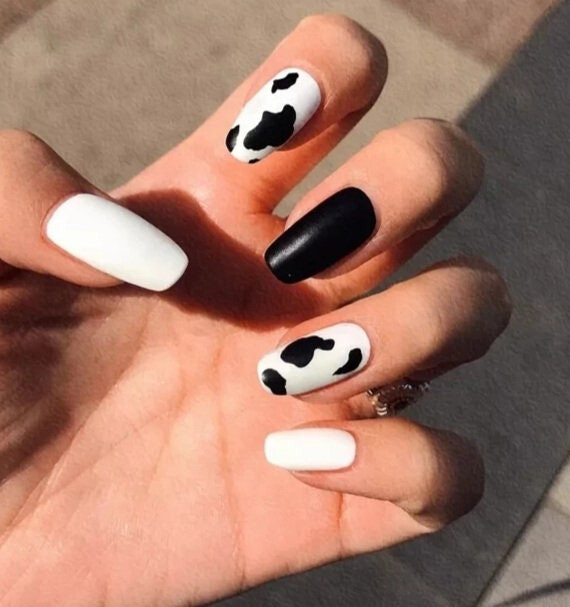 New 24 Press On Nails Kit w glue medium Cow print black white coffin