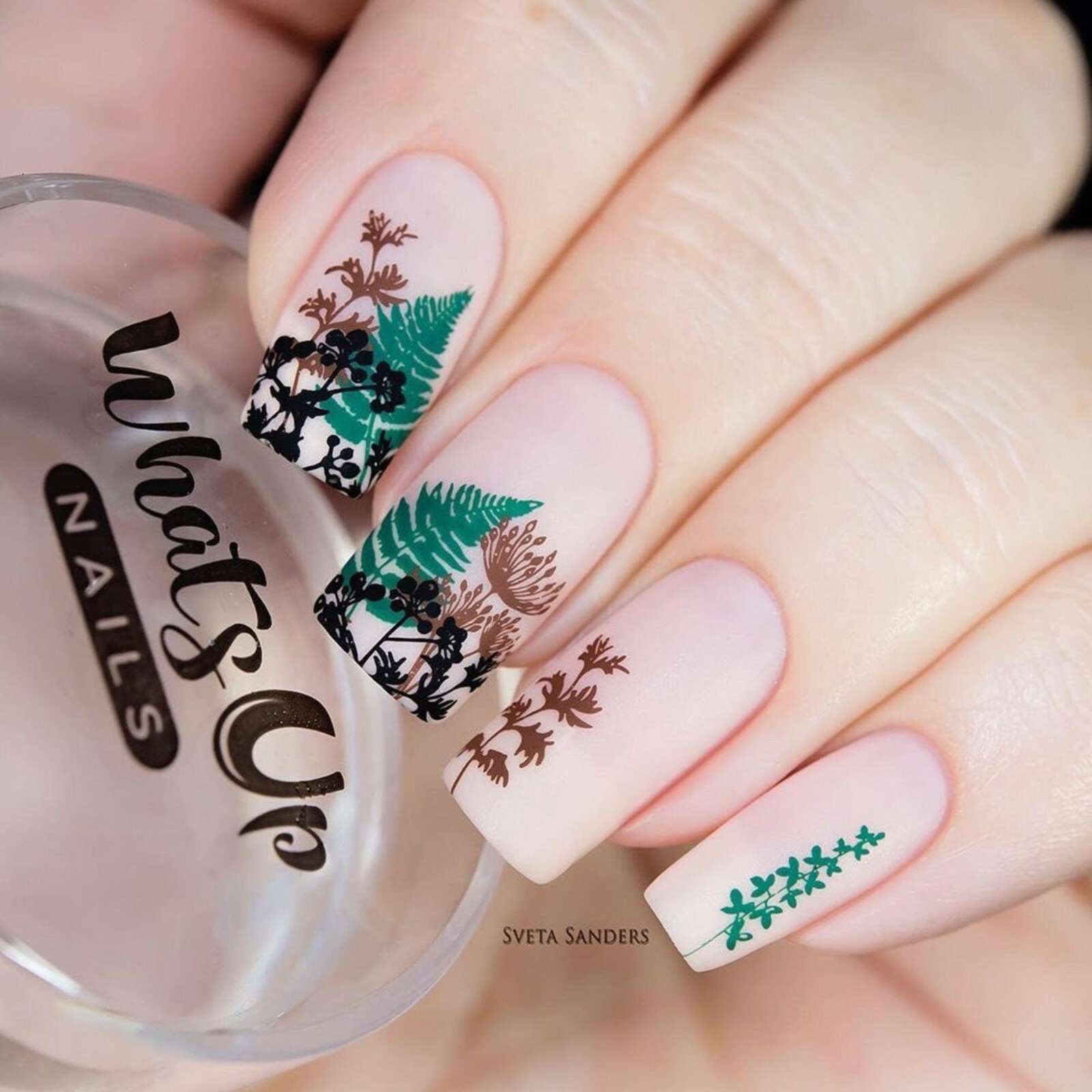 B044 From Ground Comes Life Stamping Plate For Stamped Nail Art Design