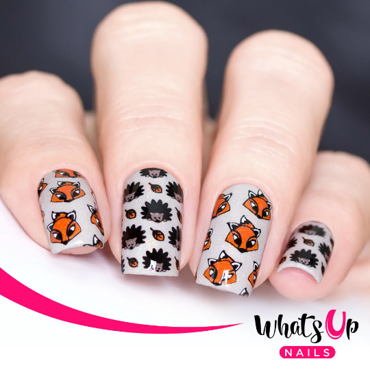 B021 Autumn Tales Stamping Plate For Stamped Nail Art Design