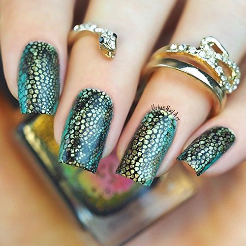 Winstonia Nail Art Stamping Plates Set Stamp Disc Manicure 1ST GEN Template Gel