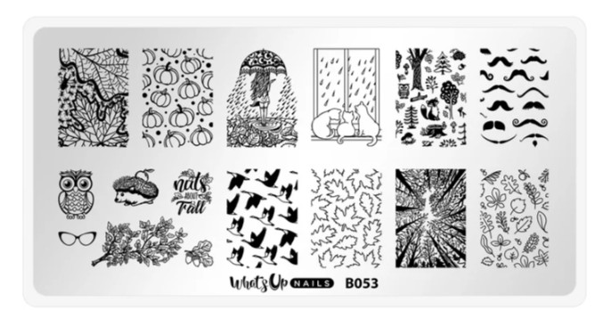 What’s Up Nail Stamping Plate B053 – That’s Pretty Autumn