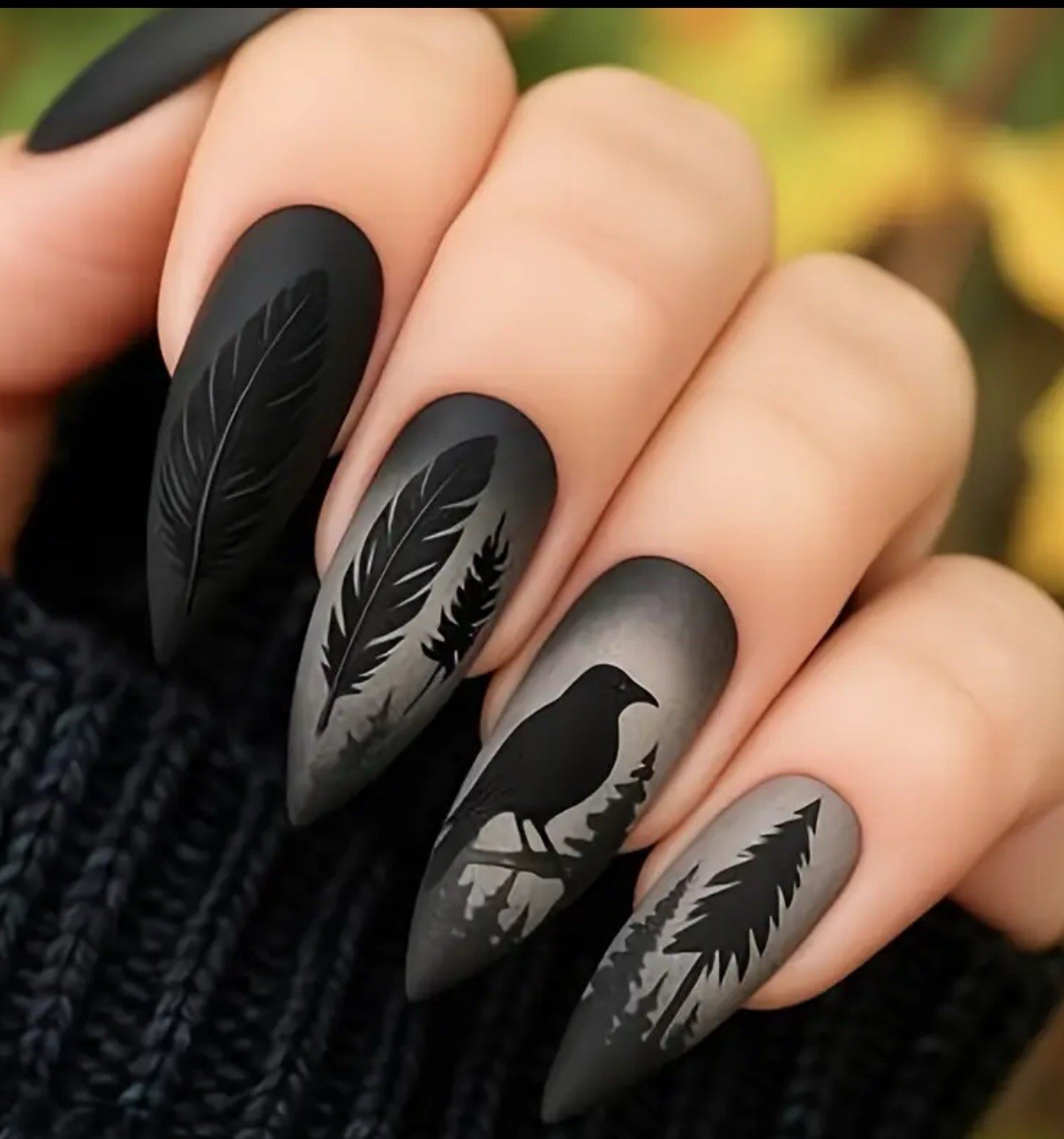 Raven 24 Pc Black Bird Night Nail Tips Boxed Glue & Tabs Nails Gothic Halloween