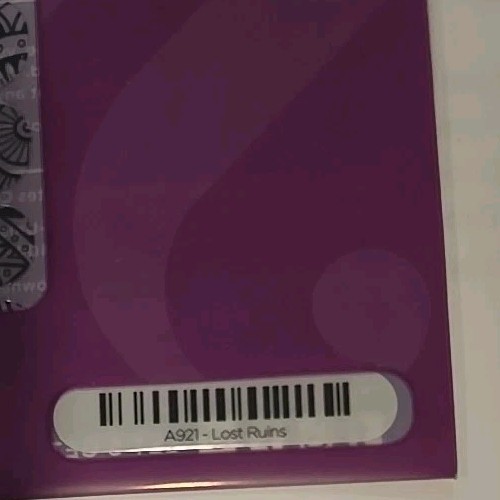 Jamberry Nail Wraps Lost Ruins Full Sheet Clear Black Design A921