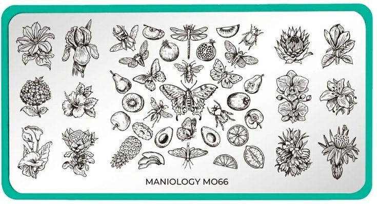 Maniology M066 Botanical Horticulture Insect Moth Butterfly Flower Nail Stamp