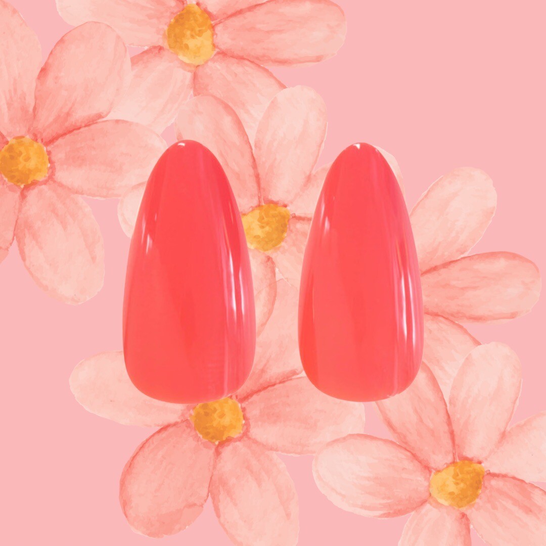 Glam Couture | Medium Almond Coral